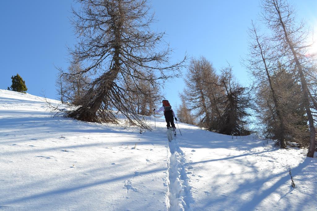 Gite Des Monges Sisteron Luaran gambar