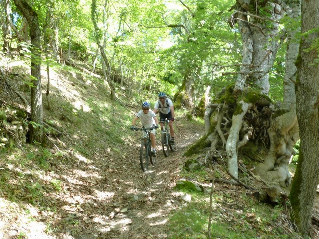 Gite Des Monges Sisteron Luaran gambar