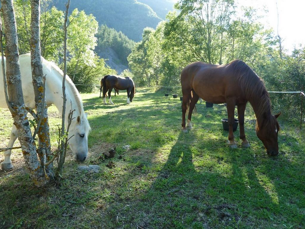 Gite Des Monges Sisteron Luaran gambar